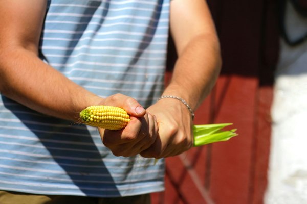 Problème d'érection : la solution naturelle à l'honneur